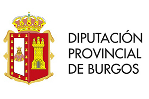 Diputacion Burgos